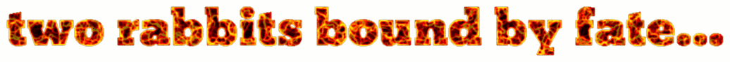 this text is seemingly composed of molten lava that warps and distorts. this image says "two rabbits bound by fate..."
