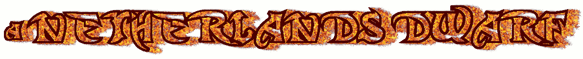 another flaming logo, this one saying "a netherlands" the text is a slightly more dull crimson, and the flames are orange. they directly race off towards the right side.